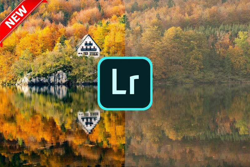 Lightroom Photo Editing Course